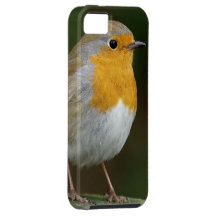 Britisches Rotkehlchen iPhone 5 Hüllen