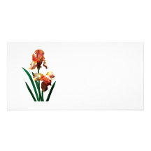 Bronzefarbige Iris Individuelle Foto Karten