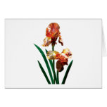 Bronzefarbige Iris Karten