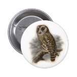 Brown-Eule Anstecknadelbuttons