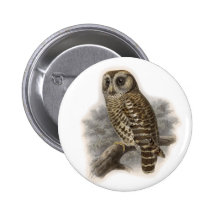 Brown-Eule Anstecknadelbuttons