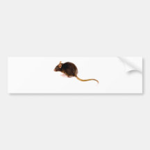 Brown-Ratte Auto Aufkleber