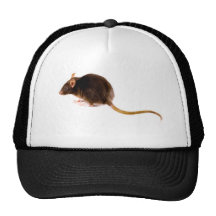 Brown-Ratte Baseball Kappen