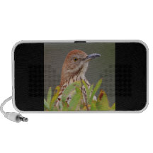Brown Thrasher Portable Speakers