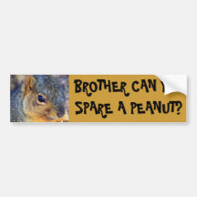 BRUDER KANN SIE EINER ERDNUSS ERSPAREN? AUTO STICKER