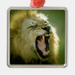 Brüllenlöwe Ornament