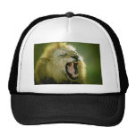 Brüllenlöwe Retrokult Cap