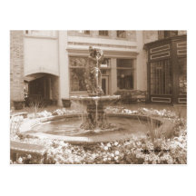 Brunnen-ein-Blüte Postkarten