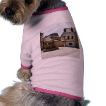 Brunnen in der alten Stadt Haustier Tshirts