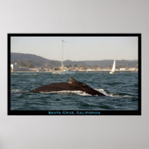 Buckel-Wal-Plakat Santa Cruz, Kalifornien