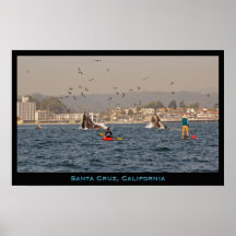 Buckel-Wal-Plakat Santa Cruz, Kalifornien