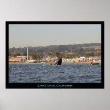 Buckel-Wal-Plakat Santa Cruz, Kalifornien