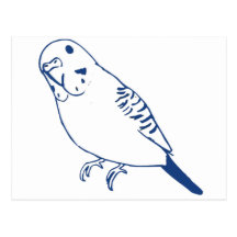 Budgerigar Postkarte