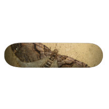 bugin individuelle skatedecks
