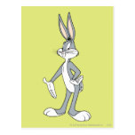 Bugs Bunny stehende 3 Postkarten