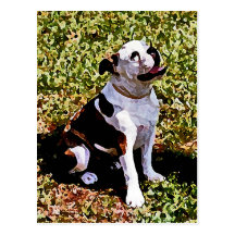 Buldog, das mit dem Mund offen sitzt Postkarte