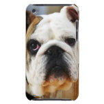 Bulldogge kaum There™ iPod Touch-Fall iPod Touch Hülle