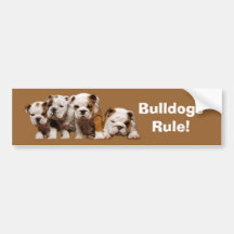 Bulldoggen-Autoaufkleber