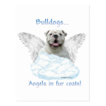 Bulldoggen-Engel Postkarten