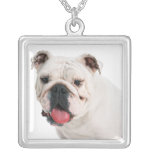 Bulldoggen-Halskette