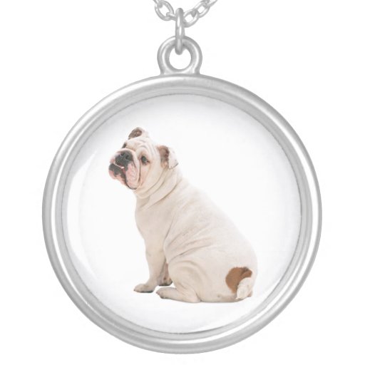 Bulldoggen-Halskette