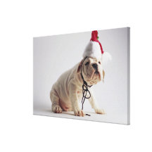 Bulldoggen-Welpen-tragende Weihnachtsmannmütze Galerie Falt Leinwand