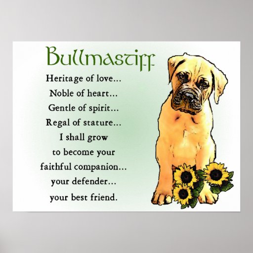 Bullmastiff Geschenke Posterdruck