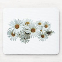 Bündel weiße Gänseblümchen Mousepad