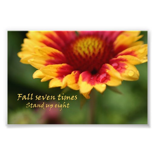 Bunte Blumenphotographie des Inspirational Zitats
