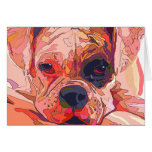 Bunte Boxer-Hundegruß-Karte