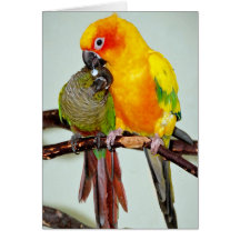 Bunte grüßende/Mitteilungskarten Schutz-Vögel