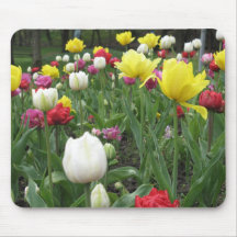 BUNTE TULPEN MAUSPADS