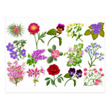 Bunter Garten-Blumen-Taschen-Kalender Postkarte