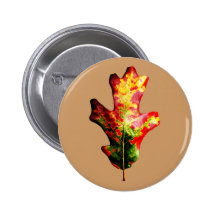 Buntes Herbst-Eichen-Blatt Button