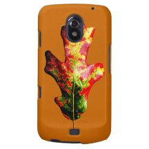Buntes Herbst-Eichen-Blatt Galaxy Nexus Hüllen