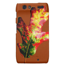 Buntes Herbst-Eichen-Blatt Motorola Droid RAZR Case