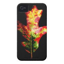 Buntes Herbst-Eichen-Blatt iPhone 4 Cover
