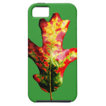 Buntes Herbst-Eichen-Blatt iPhone 5 Schutzhüllen