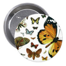 Buntes Schmetterlingeantiquarian-Bild-Lesezeichen Buttons