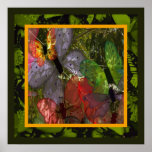 Buntes Schmetterlings-Plakat