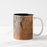 Burchells Zebras, Equus burchelli weiden lassend a Tee Tasse