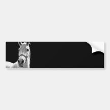BW-Pferd Autosticker