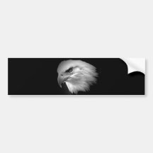 BW-Weißkopfseeadler Autoaufkleber