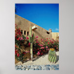 Cabo San Lucas, Baja, Mexiko Blumen Plakatdrucke