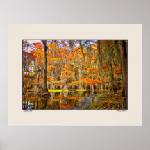 Caddo See - Herbst - Texas Plakatdruck