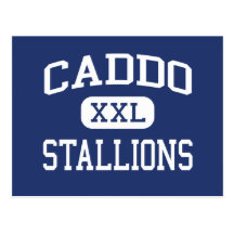 Caddo Stallions mittleres Shreveport Louisiana Postkarten