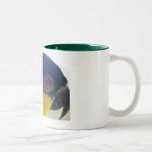 Caique-Becher Kaffee Tasse