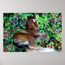 CALISTA IN KLEE Plakat