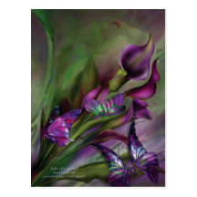 Calla-Lilien-Kunst-Postkarte