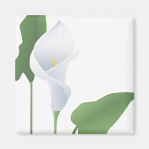 Calla-Lilien-Magnet 2 Magnets